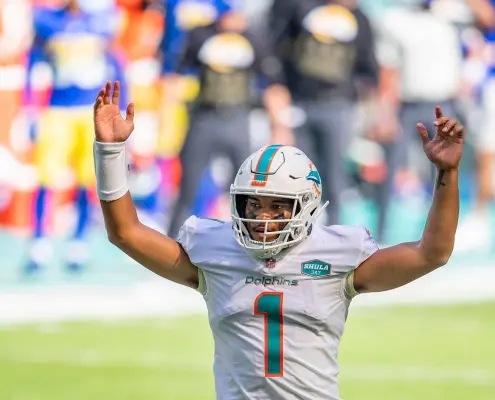 Dolphins Cardinals
