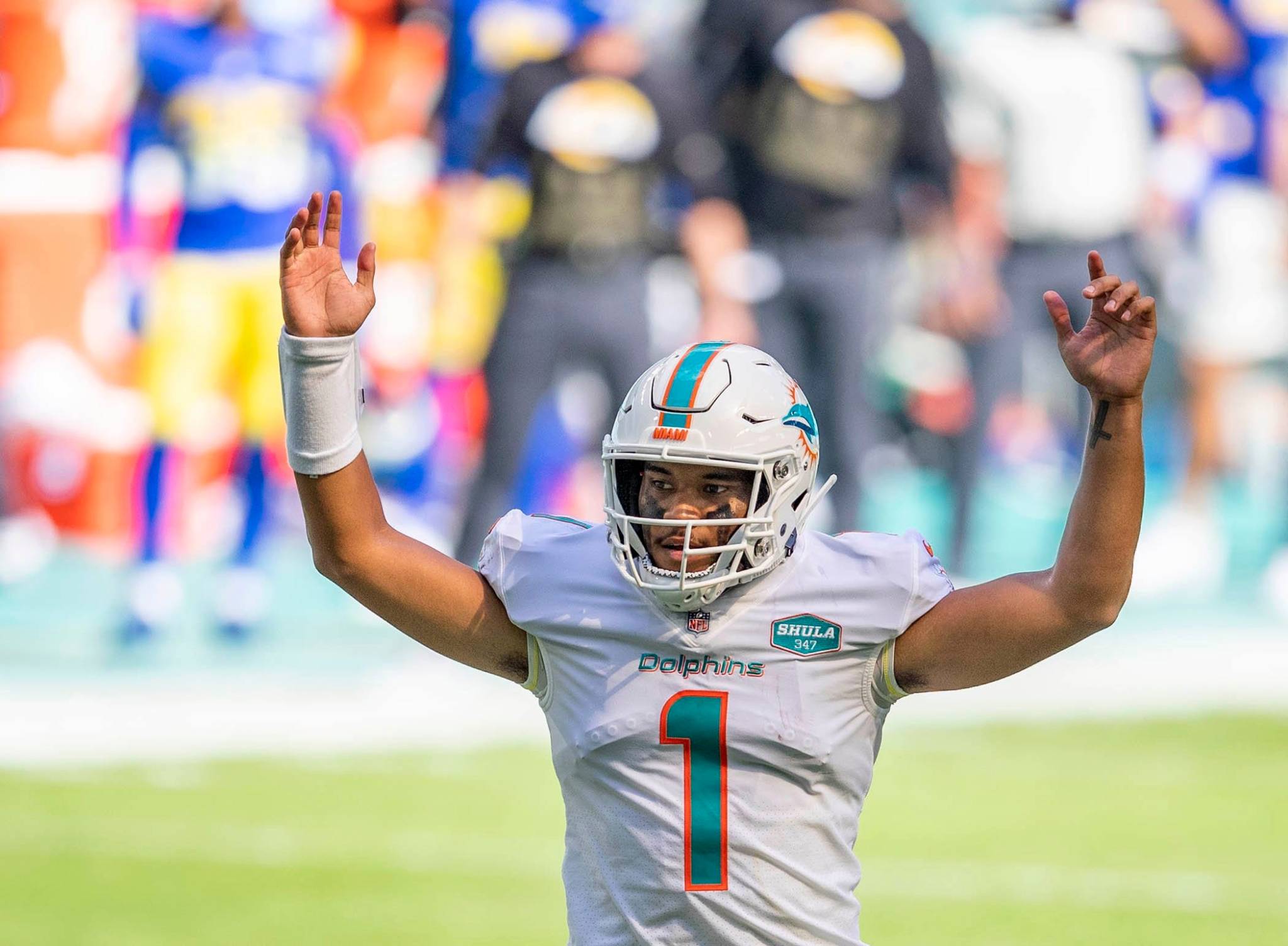 The 4 players that will dictate whether the Miami Dolphins win or lose on  Sunday and why Andrew Van Ginkel is key