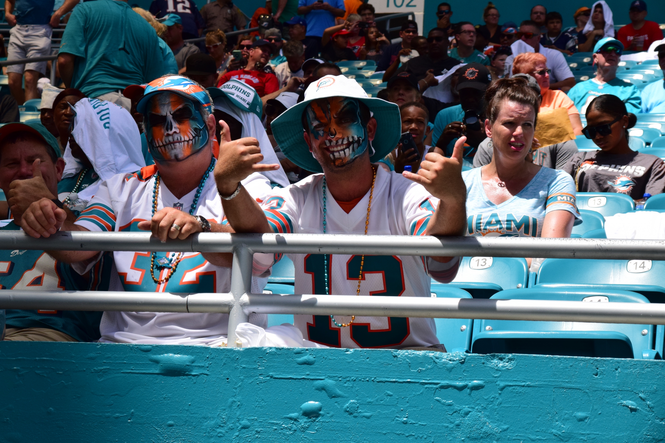 Miami Dolphins Fans