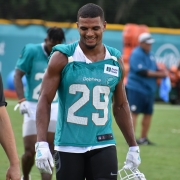 Minkah Fitzpatrick