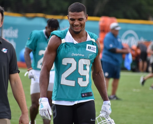 Minkah Fitzpatrick