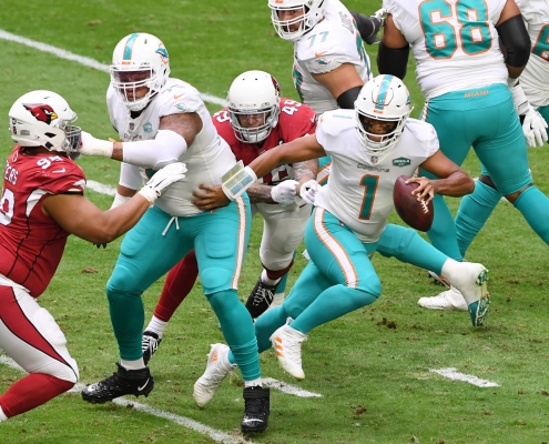 Dolphins Win Cardinals