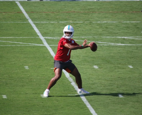 Dolphins training camp