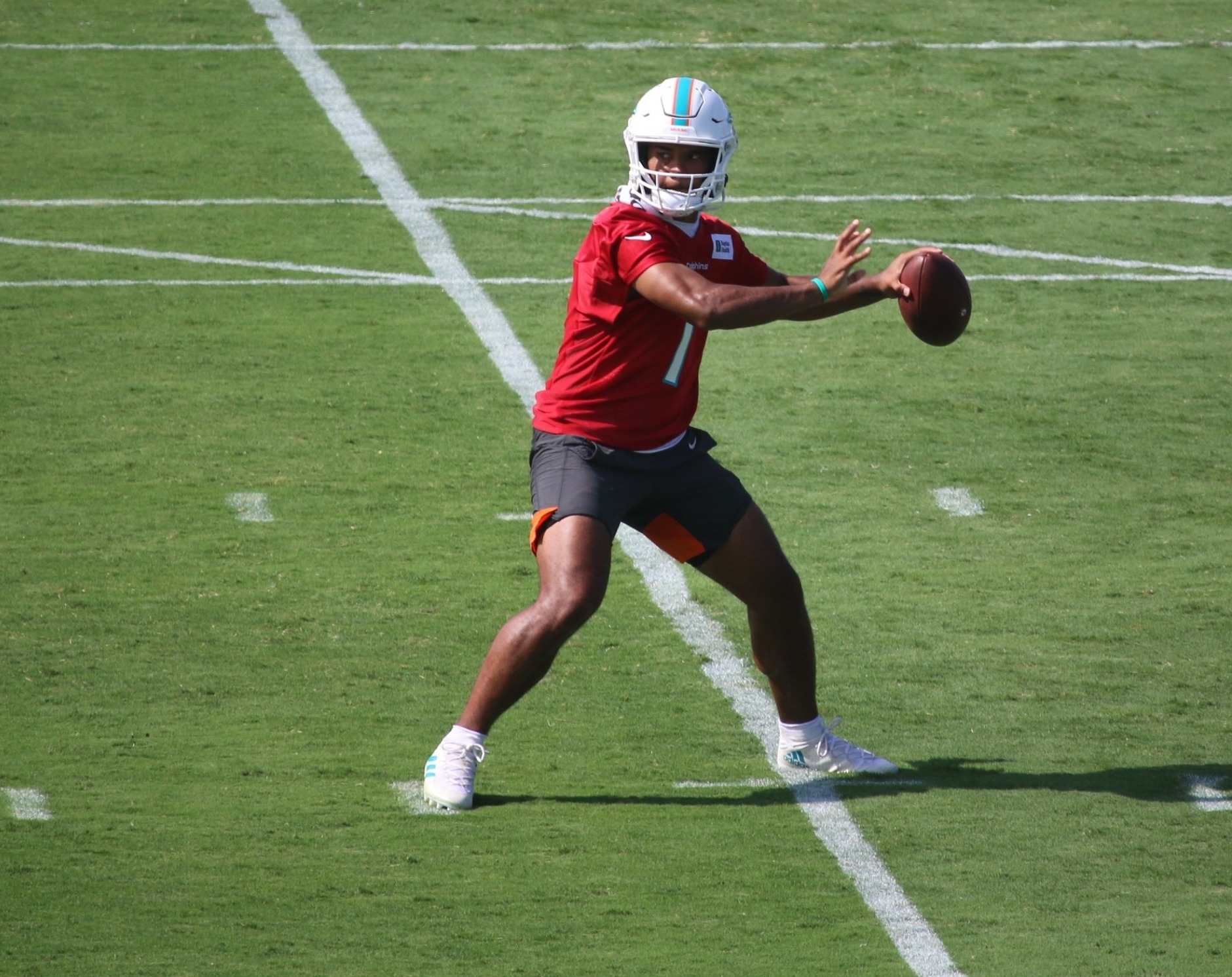 Miami Dolphins quarterback Reid Sinnett (4) watches a video replay