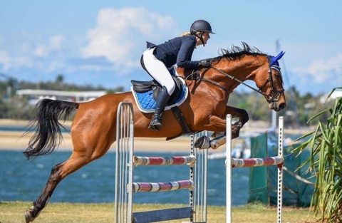 From Grassroots to Grand Prix: How Amateur Sports Shape the Future of Equestrian Excellence