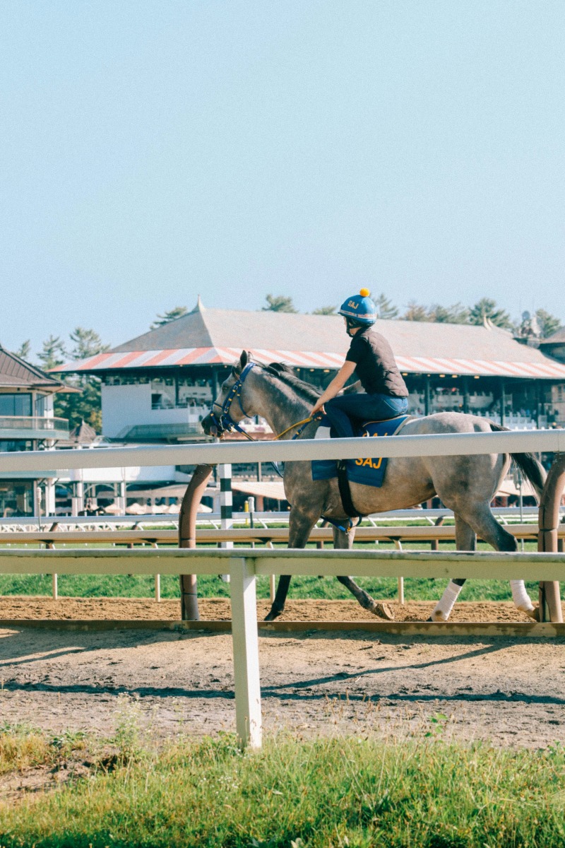 Decoding Del Mar’s ‘Ship and Win’ Program: What Is It?